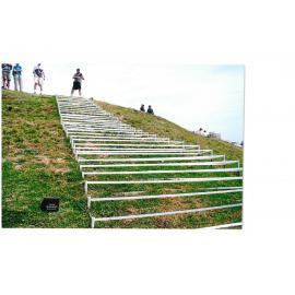 Sculpture By the Sea 2009