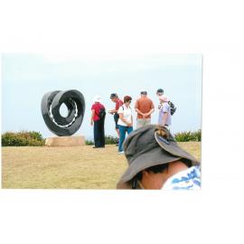 Sculpture By the Sea 2009