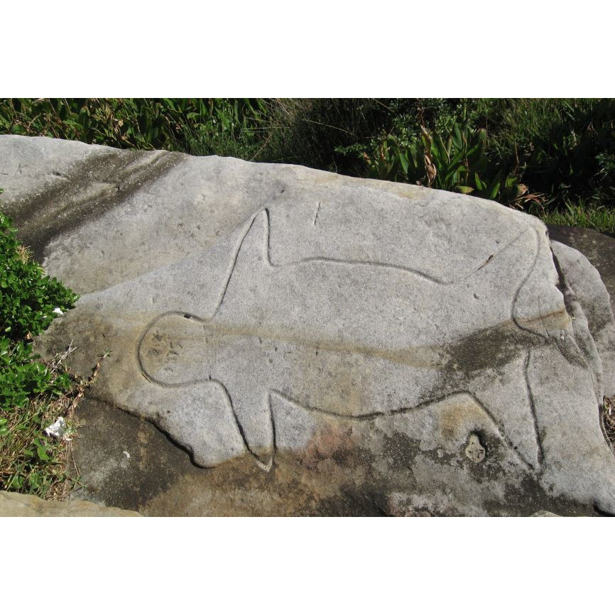 First Nations History