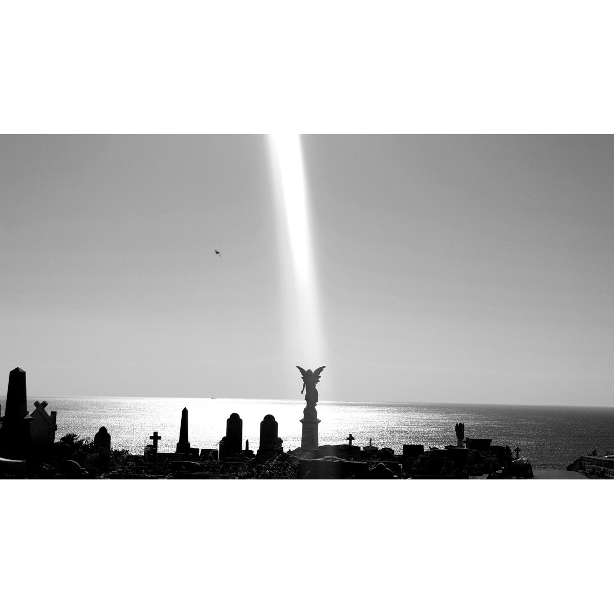 Waverley Cemetery
