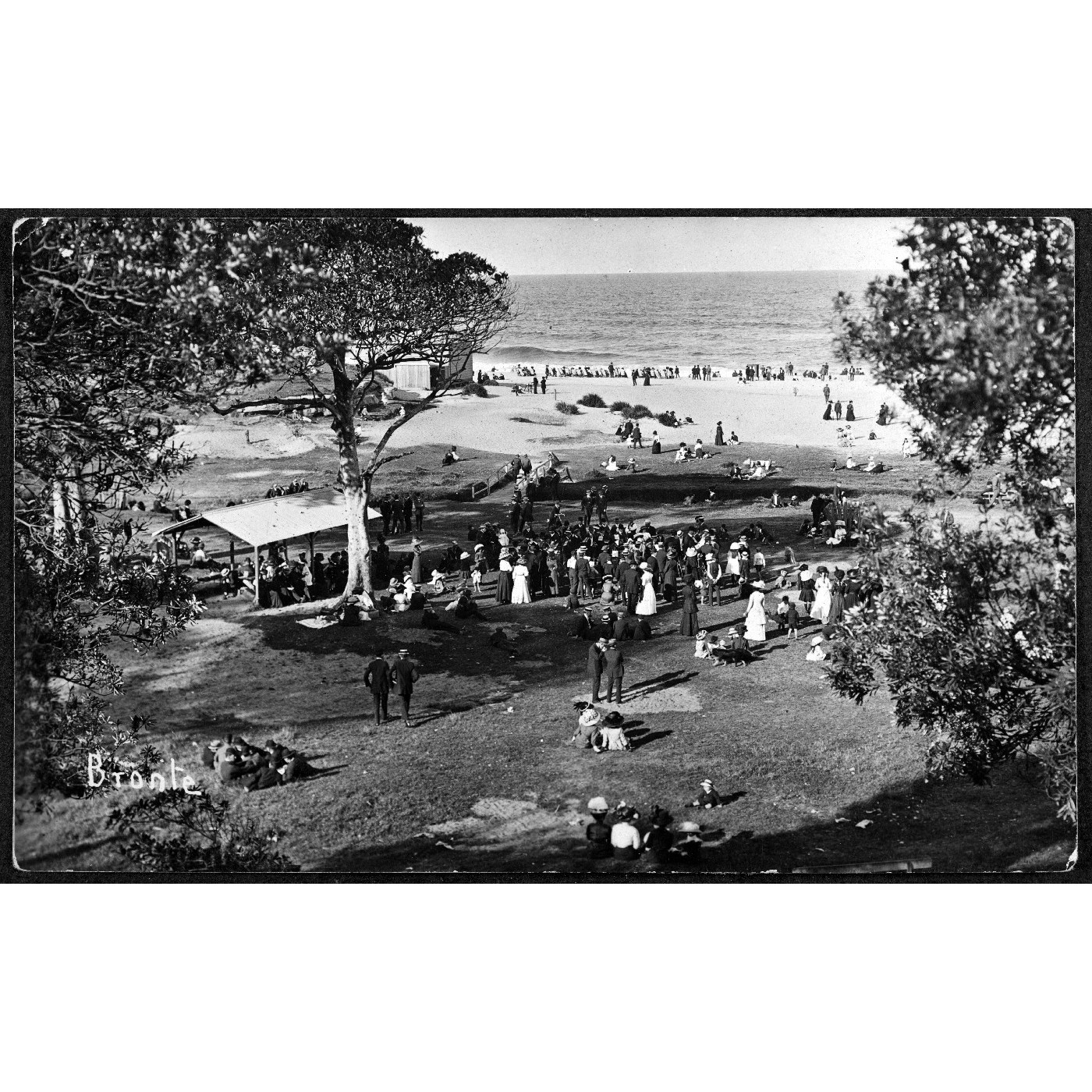 Bronte Park