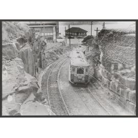 Tram in Bronte Cut