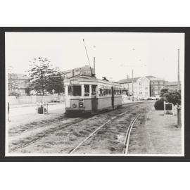 Trams and tram tracks