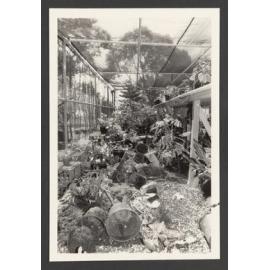 Waverley Council Nurseries, Waverley Park, Vandalism.