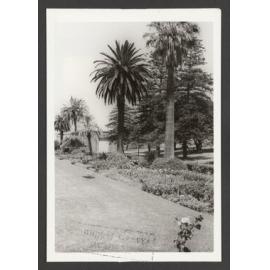 Trees and flower beds in Waverley Park.