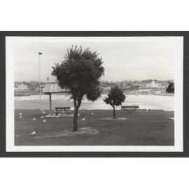 Looking to Bondi beach and Pavilion from Biddigal Reserve, North Bondi.