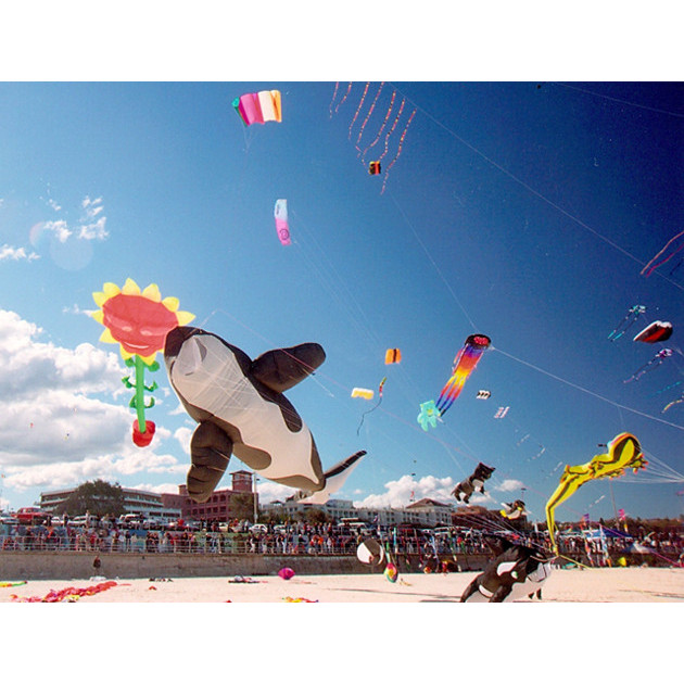 Festival of the Winds