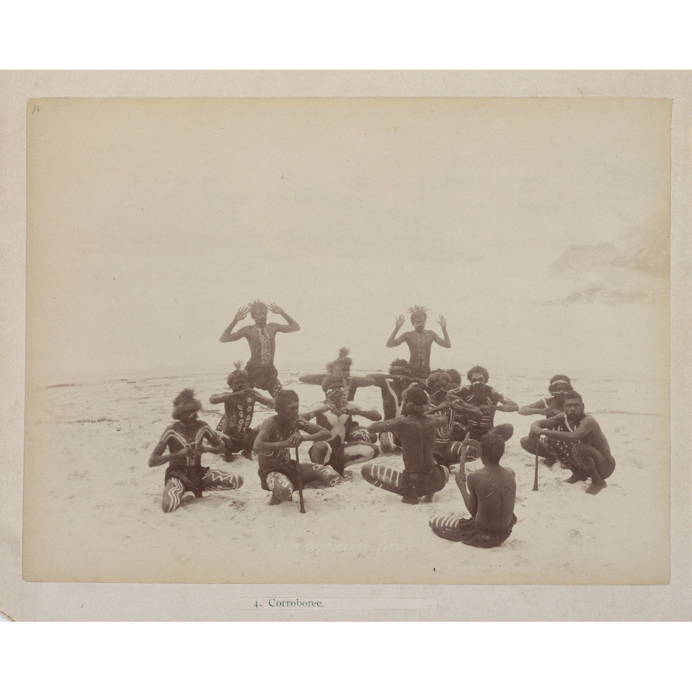 Meston's troop "Wild Australia" - Bondi Aquarium