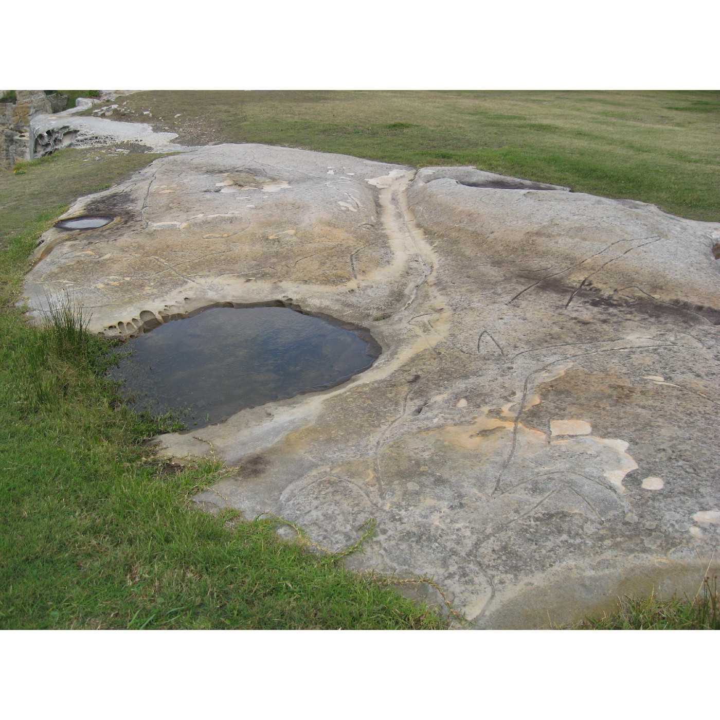 Rock engravings - North Bondi