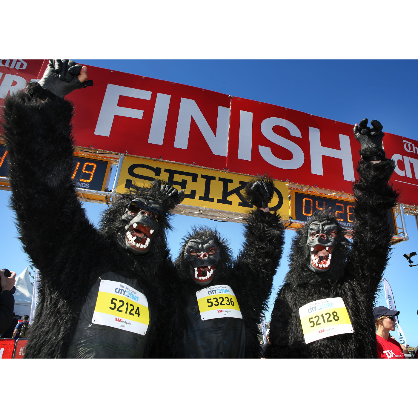 The Gorillas
