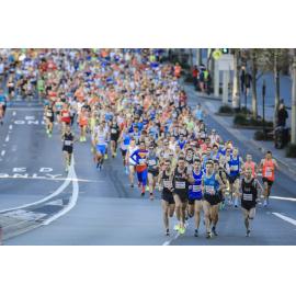 City to Surf