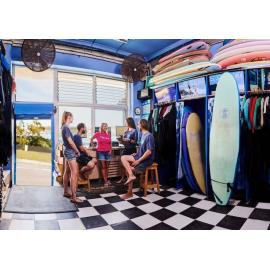 Let's Go Surfing