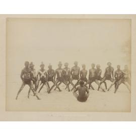 Meston's troop "Wild Australia" - Bondi Aquarium