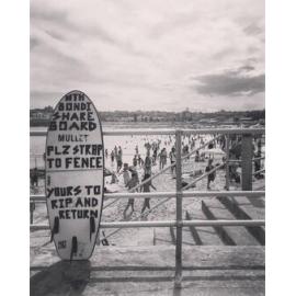 North Bondi Share Board