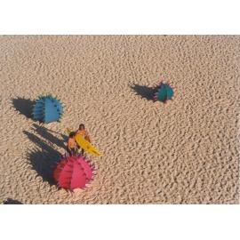 Sculpture by the Sea