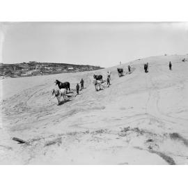 The Sandhills of Bondi