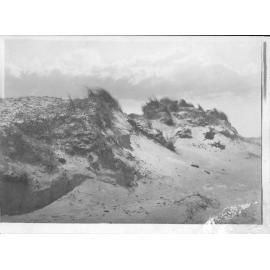 The Sandhills of Bondi