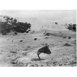 The Sandhills of Bondi