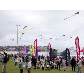 Festival of the Winds