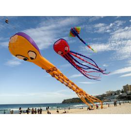 Festival of the Winds