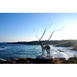 Sculpture by the Sea