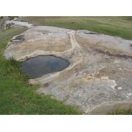 Rock engravings - North Bondi